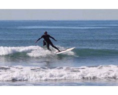 Tabla de surf Model T 9'3"-... 2