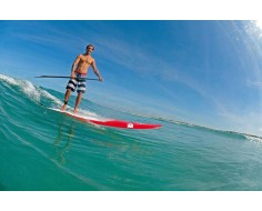 Tabla windsup performer... 2